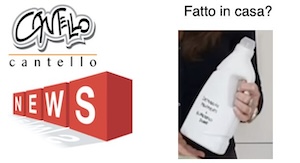 Un detersivo non è ecologico solo perchè fatto in casa